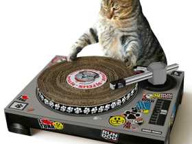 Suck Uk 宠物玩具小猫打碟机/Cat Scratch Turntable